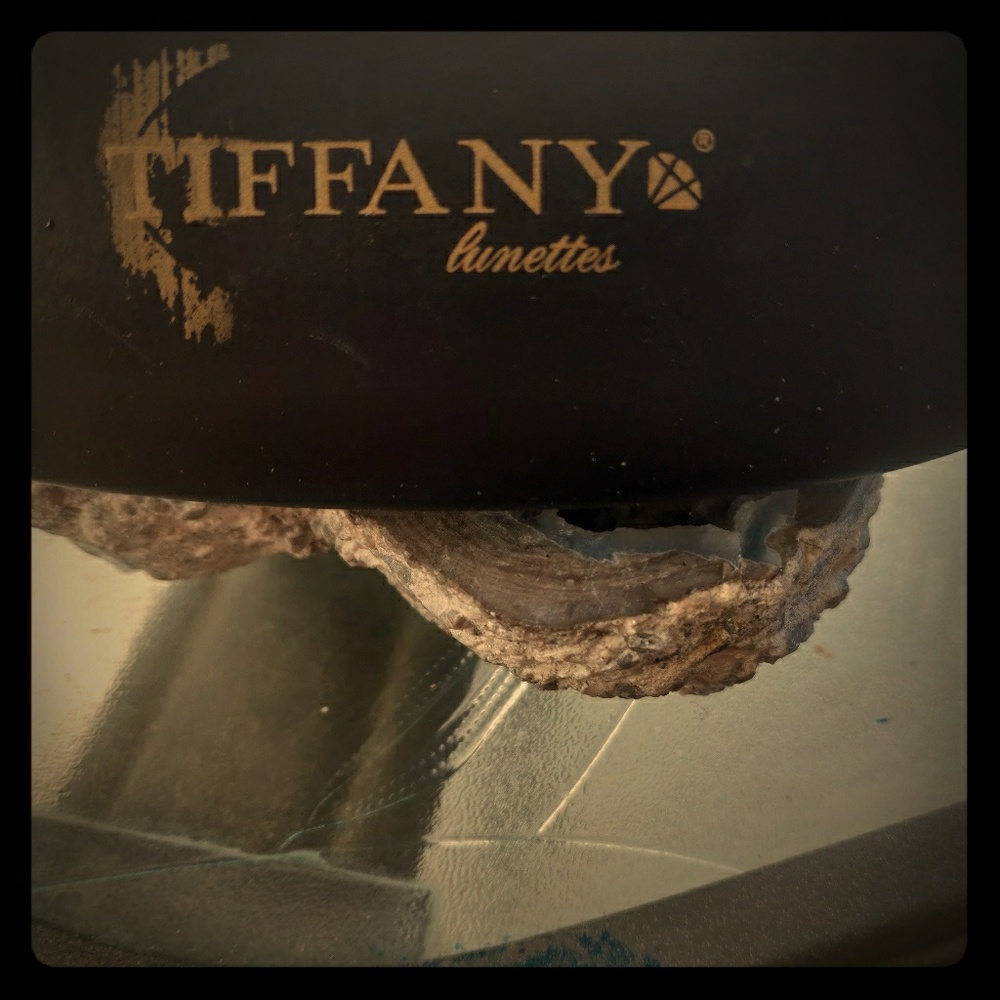 Tiffany eyewear